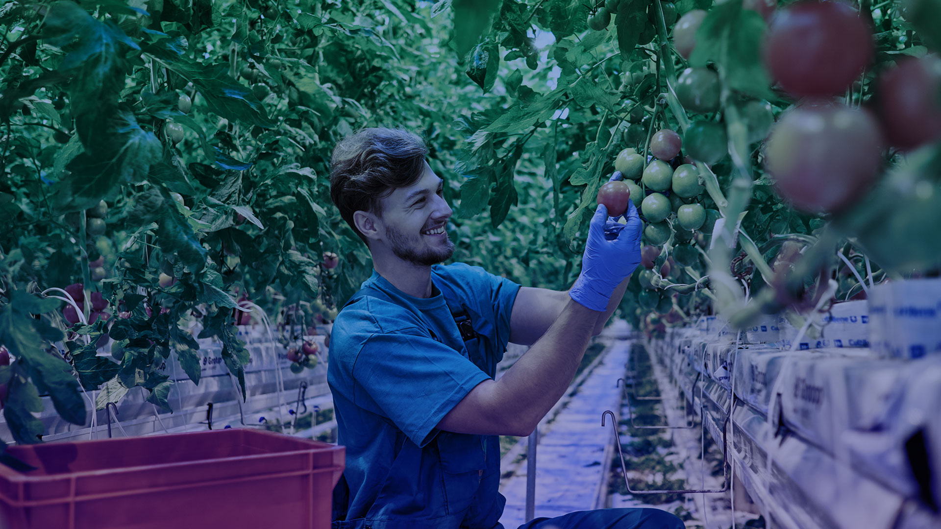 munka állás mezőgazdaság