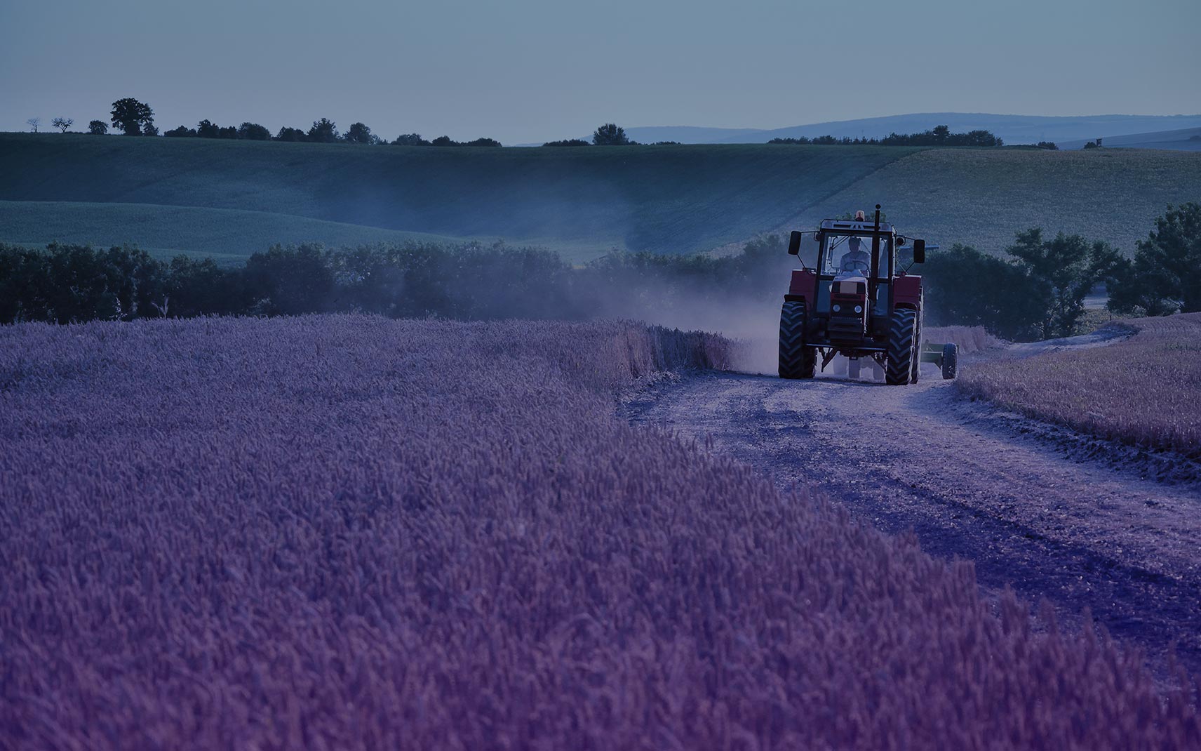munka állás mezőgazdaság