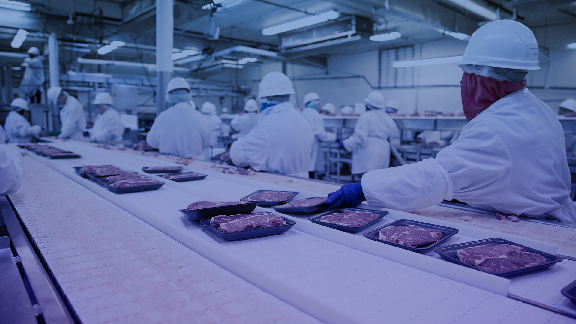 állásvégoldal fejléc csomagoló